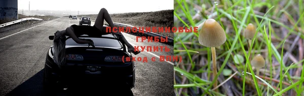 прущая мука Красноперекопск