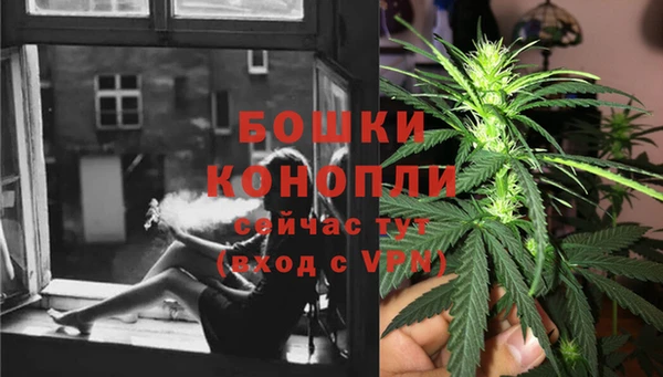 каннабис Корсаков