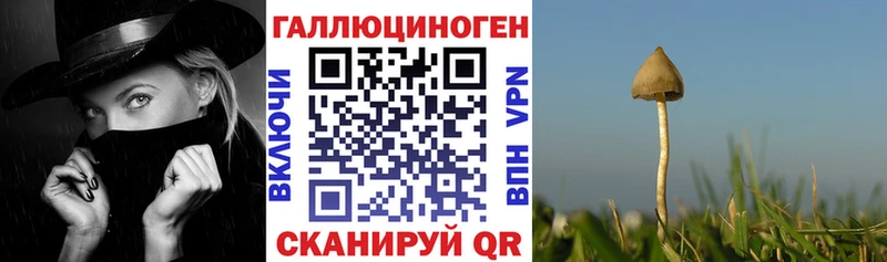 Галлюциногенные грибы ЛСД  Купить закладки  Старый Крым 